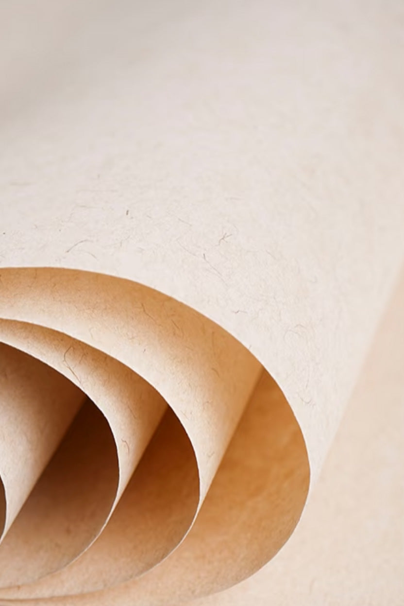 Papier Xuan de chinois traditionnel en Broussonetia – Reconnaissance patrimoniale - HanWen Shop