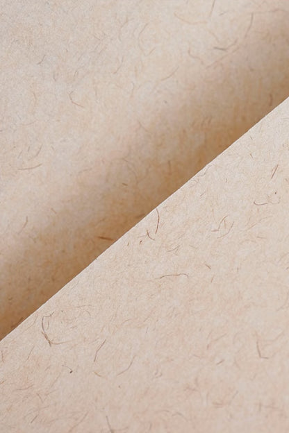 Papier Xuan de chinois traditionnel en Broussonetia – Reconnaissance patrimoniale - HanWen Shop