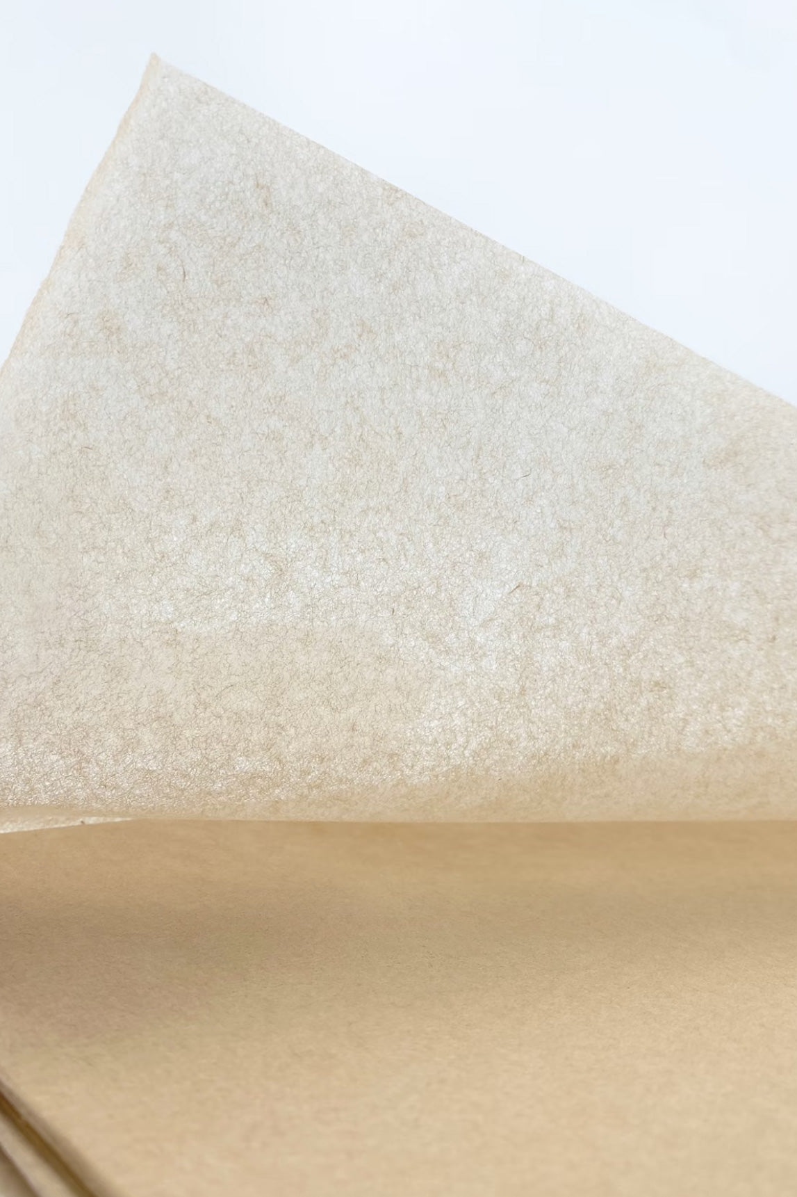 Papier Xuan de chinois traditionnel - Papier d’aile de cigale - HanWen Shop