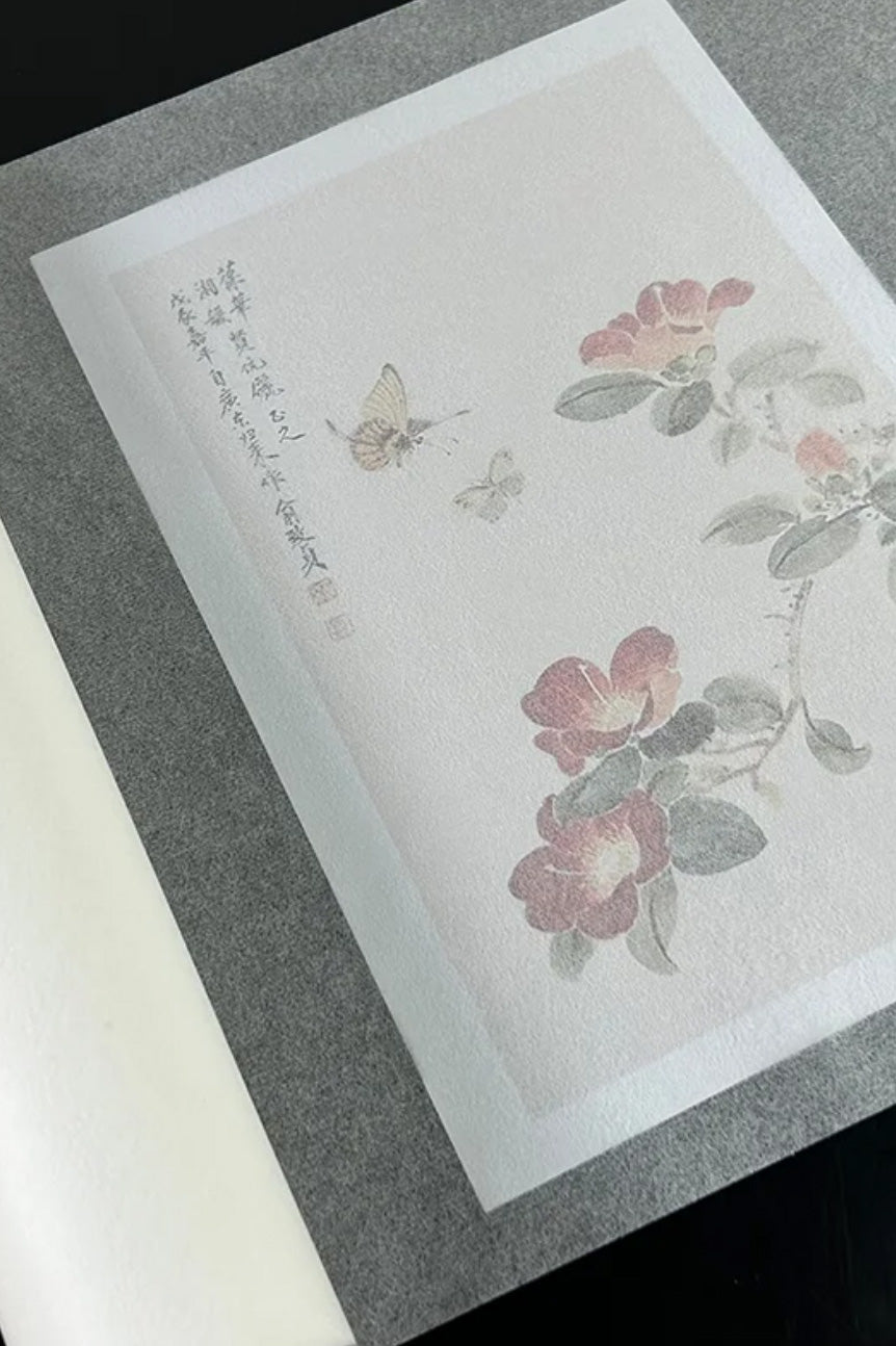 Papier Xuan de chinois traditionnel - Papier d’aile de cigale - HanWen Shop