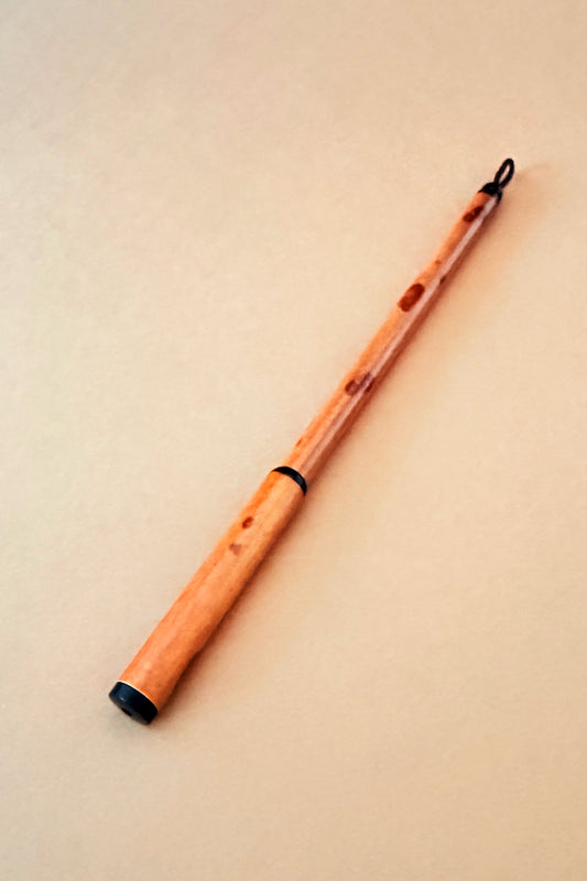 Pinceau de calligraphie et peinture chinoise court manche - avec capuchon - HanWen Shop