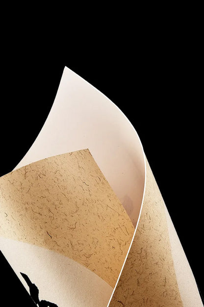 Papier Xuan raffiné avec cartonné épaissi HanWen Shop